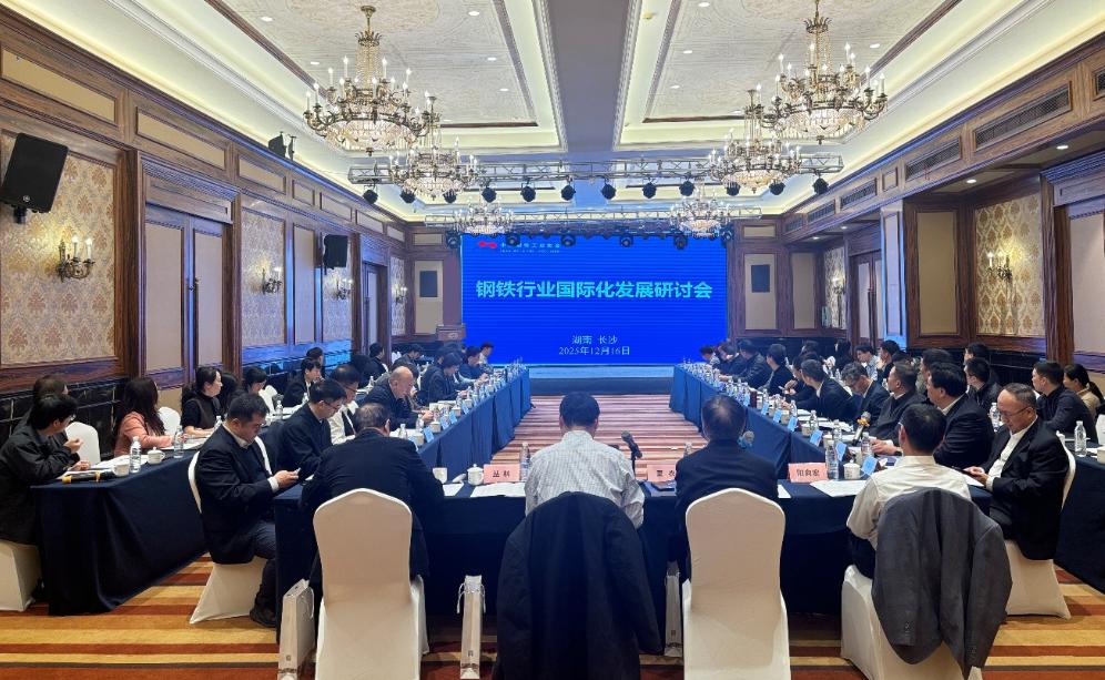 持续推进中国钢铁国际化进程丨钢铁行业国际化发展研讨会在长沙召开